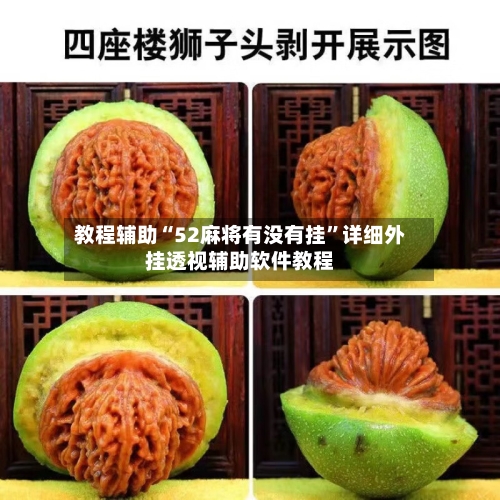 教程辅助“52麻将有没有挂	”详细外挂透视辅助软件教程-第3张图片