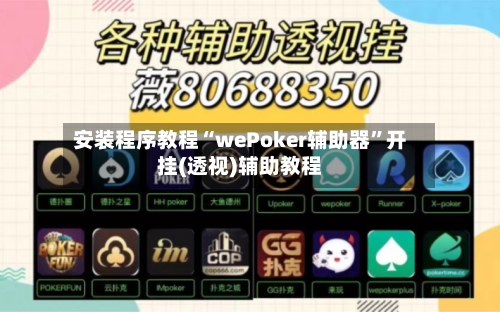 安装程序教程“wePoker辅助器”开挂(透视)辅助教程-第2张图片