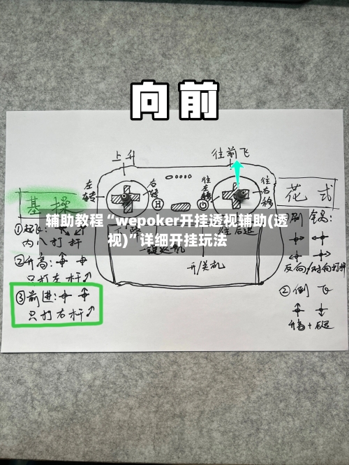 辅助教程“wepoker开挂透视辅助(透视)	”详细开挂玩法-第2张图片