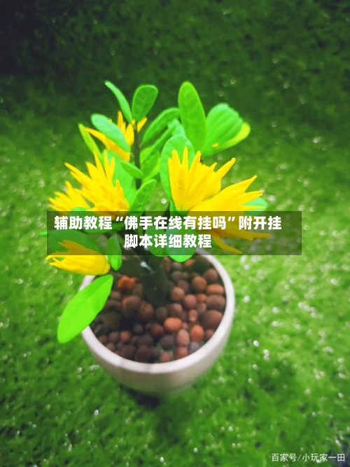 辅助教程“佛手在线有挂吗”附开挂脚本详细教程