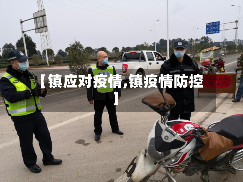 【镇应对疫情,镇疫情防控】-第2张图片