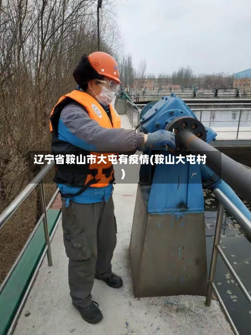 辽宁省鞍山市大屯有疫情(鞍山大屯村)-第2张图片