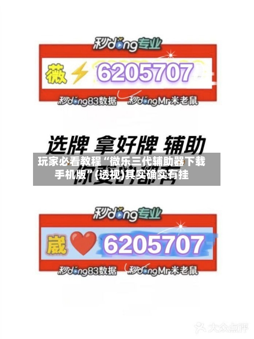 玩家必看教程“微乐三代辅助器下载手机版”(透视)其实确实有挂-第3张图片