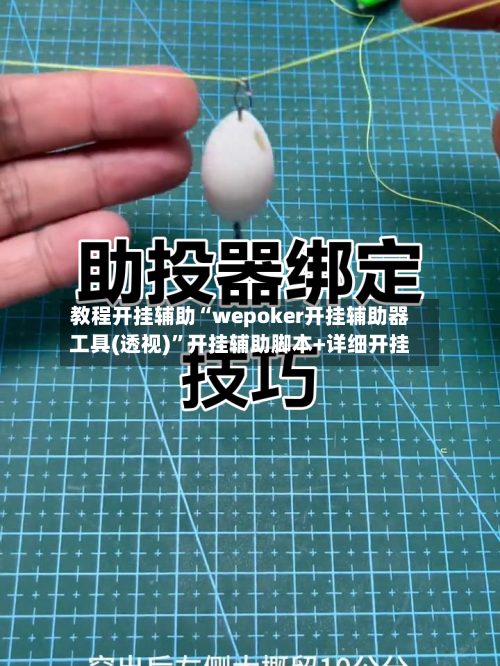 教程开挂辅助“wepoker开挂辅助器工具(透视)”开挂辅助脚本+详细开挂-第2张图片