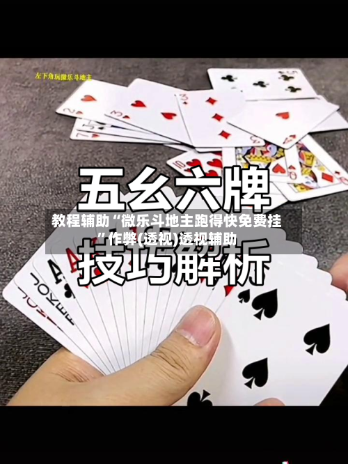 教程辅助“微乐斗地主跑得快免费挂	”作弊(透视)透视辅助-第2张图片