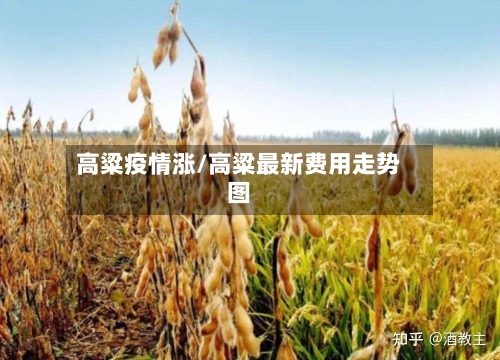 高粱疫情涨/高粱最新费用走势图