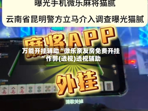 万能开挂辅助“微乐亲友房免费开挂”作弊(透视)透视辅助-第3张图片