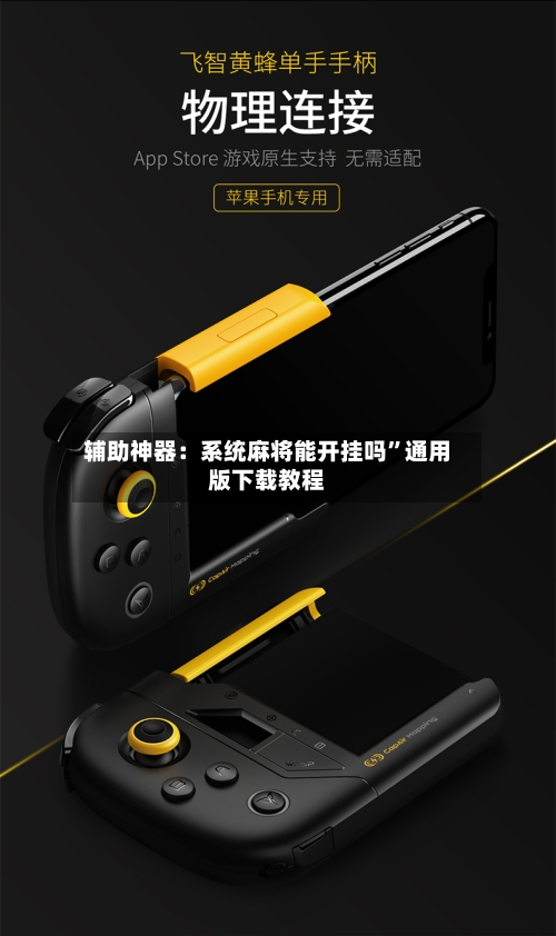 辅助神器：系统麻将能开挂吗”通用版下载教程-第3张图片