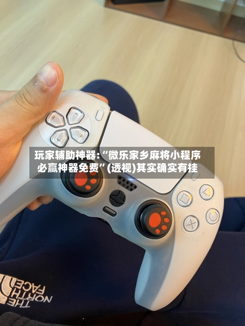 玩家辅助神器:“微乐家乡麻将小程序必赢神器免费”(透视)其实确实有挂-第3张图片