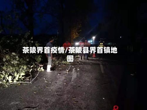 茶陵界首疫情/茶陵县界首镇地图