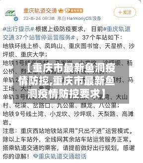 【重庆市最新鱼洞疫情防控,重庆市最新鱼洞疫情防控要求】-第3张图片