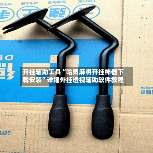 开挂辅助工具“哈灵麻将开挂神器下载安装”详细外挂透视辅助软件教程-第2张图片