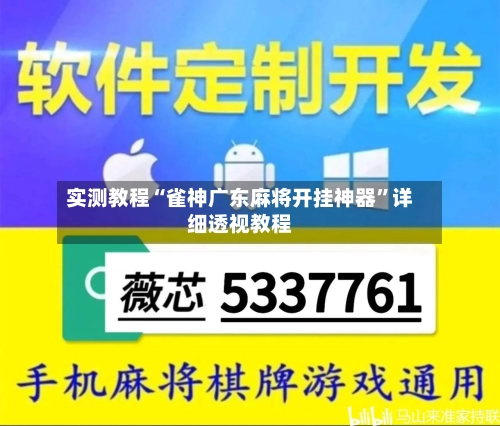实测教程“雀神广东麻将开挂神器”详细透视教程-第2张图片