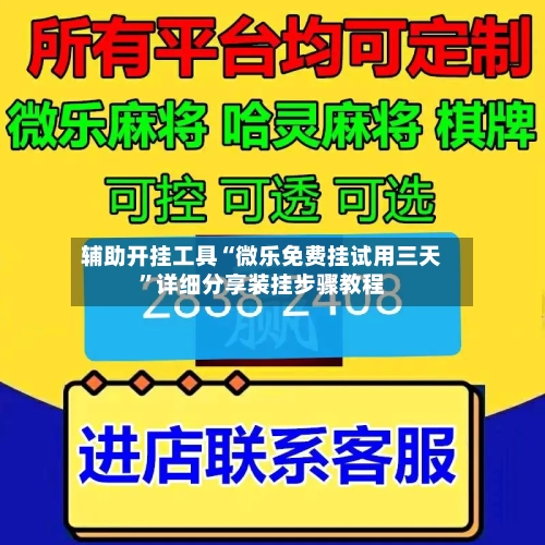 辅助开挂工具“微乐免费挂试用三天”详细分享装挂步骤教程-第2张图片