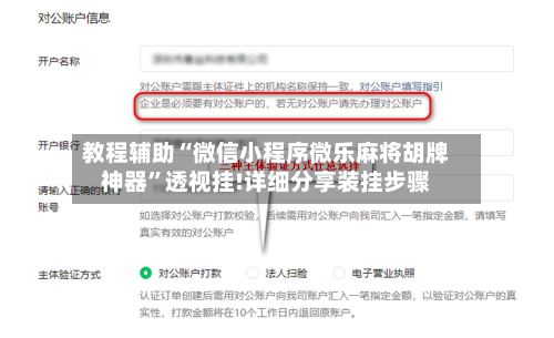 教程辅助“微信小程序微乐麻将胡牌神器”透视挂!详细分享装挂步骤-第2张图片