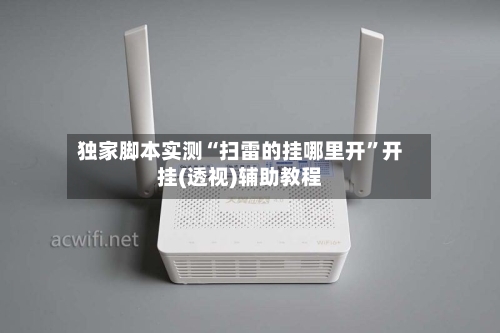 独家脚本实测“扫雷的挂哪里开”开挂(透视)辅助教程-第2张图片