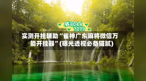 实测开挂辅助“雀神广东麻将微信万能开挂器	”(曝光透视必备猫腻)-第3张图片