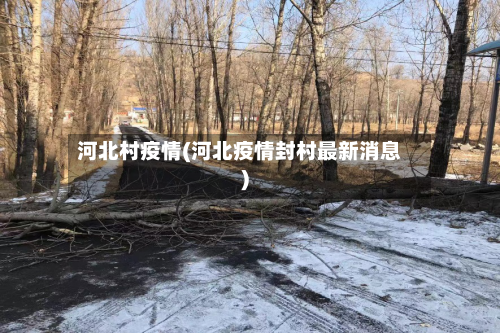 河北村疫情(河北疫情封村最新消息)