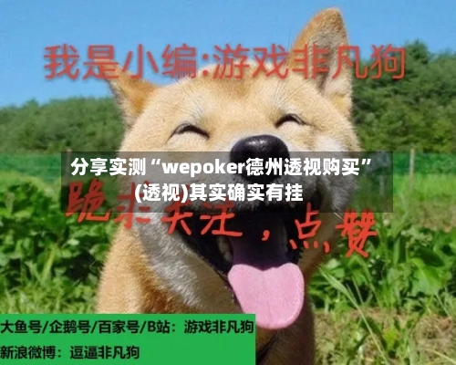 分享实测“wepoker德州透视购买”(透视)其实确实有挂-第3张图片