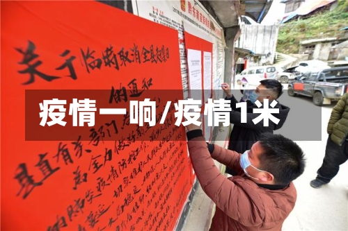 疫情一响/疫情1米-第2张图片