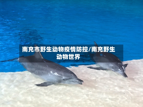 南充市野生动物疫情防控/南充野生动物世界-第2张图片