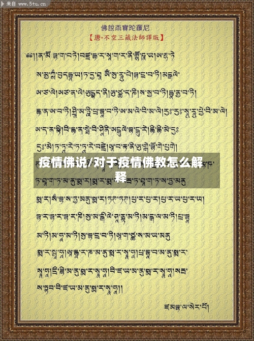 疫情佛说/对于疫情佛教怎么解释-第3张图片