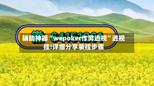 辅助神器“wepoker作弊透视”透视挂!详细分享装挂步骤-第2张图片