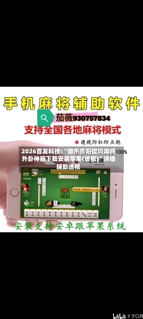 2026首发科技:“微乐贵阳捉鸡麻将外卦神器下载安装苹果(透视)”详细辅助透视-第3张图片