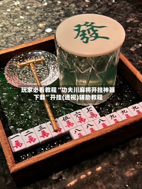 玩家必看教程“功夫川麻将开挂神器下载”开挂(透视)辅助教程-第3张图片