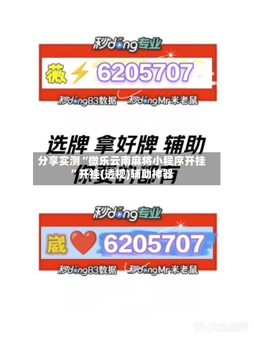 分享实测“微乐云南麻将小程序开挂	”开挂(透视)辅助神器-第2张图片