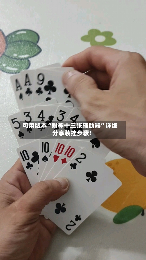 可用版本“财神十三张辅助器”详细分享装挂步骤!-第3张图片