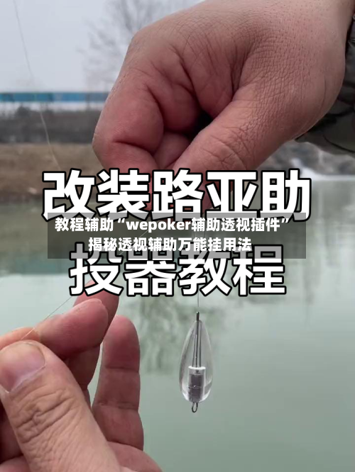 教程辅助“wepoker辅助透视插件”揭秘透视辅助万能挂用法-第2张图片