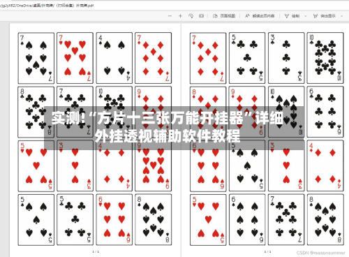 实测!“方片十三张万能开挂器”详细外挂透视辅助软件教程-第2张图片