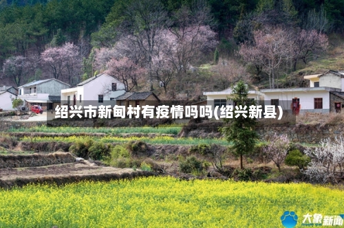 绍兴市新甸村有疫情吗吗(绍兴新县)