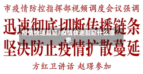 疫情快速蔓延/疫情快速蔓延什么意思