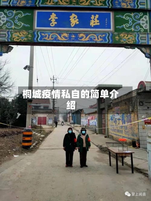 桐城疫情私自的简单介绍-第3张图片