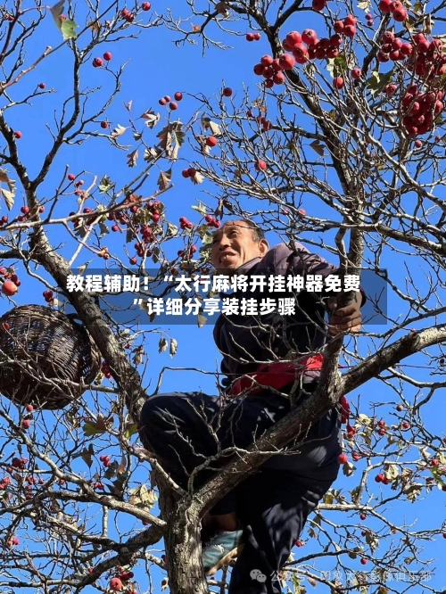 教程辅助！“太行麻将开挂神器免费”详细分享装挂步骤-第3张图片