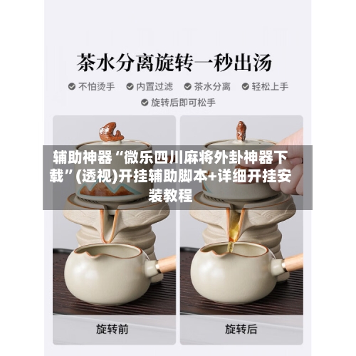 辅助神器“微乐四川麻将外卦神器下载”(透视)开挂辅助脚本+详细开挂安装教程-第3张图片