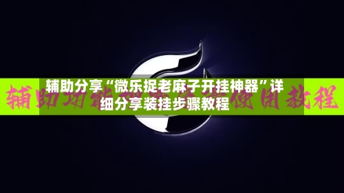 辅助分享“微乐捉老麻子开挂神器”详细分享装挂步骤教程-第2张图片