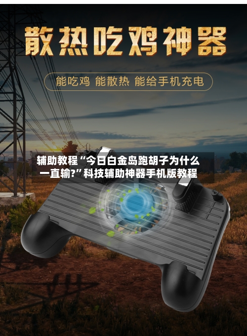 辅助教程“今日白金岛跑胡子为什么一直输?	”科技辅助神器手机版教程-第2张图片
