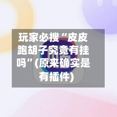 玩家必搜“皮皮跑胡子究竟有挂吗”(原来确实是有插件)-第2张图片