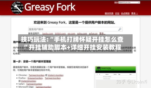 技巧玩法:“手机打牌怀疑开挂怎么查”开挂辅助脚本+详细开挂安装教程-第3张图片