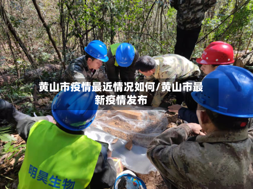黄山市疫情最近情况如何/黄山市最新疫情发布