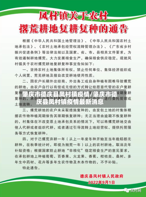 肇庆市德庆县凤村镇疫情/肇庆市德庆县凤村镇疫情最新消息-第2张图片
