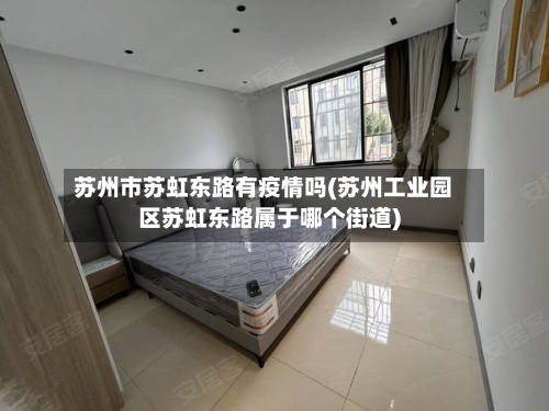 苏州市苏虹东路有疫情吗(苏州工业园区苏虹东路属于哪个街道)-第3张图片