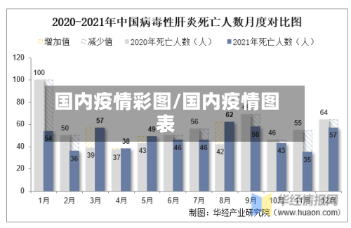 国内疫情彩图/国内疫情图表-第2张图片