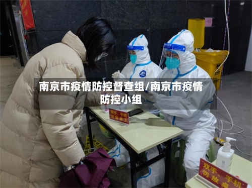 南京市疫情防控督查组/南京市疫情防控小组-第2张图片