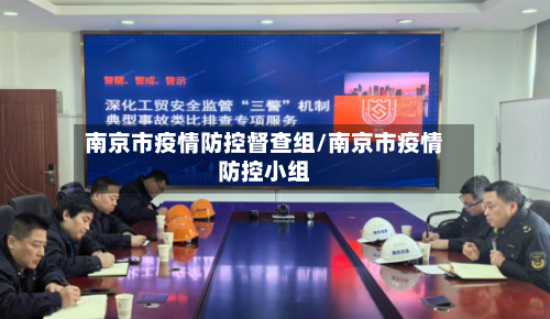 南京市疫情防控督查组/南京市疫情防控小组