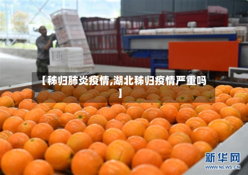 【秭归肺炎疫情,湖北秭归疫情严重吗】-第3张图片