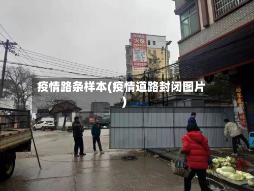 疫情路条样本(疫情道路封闭图片)-第2张图片